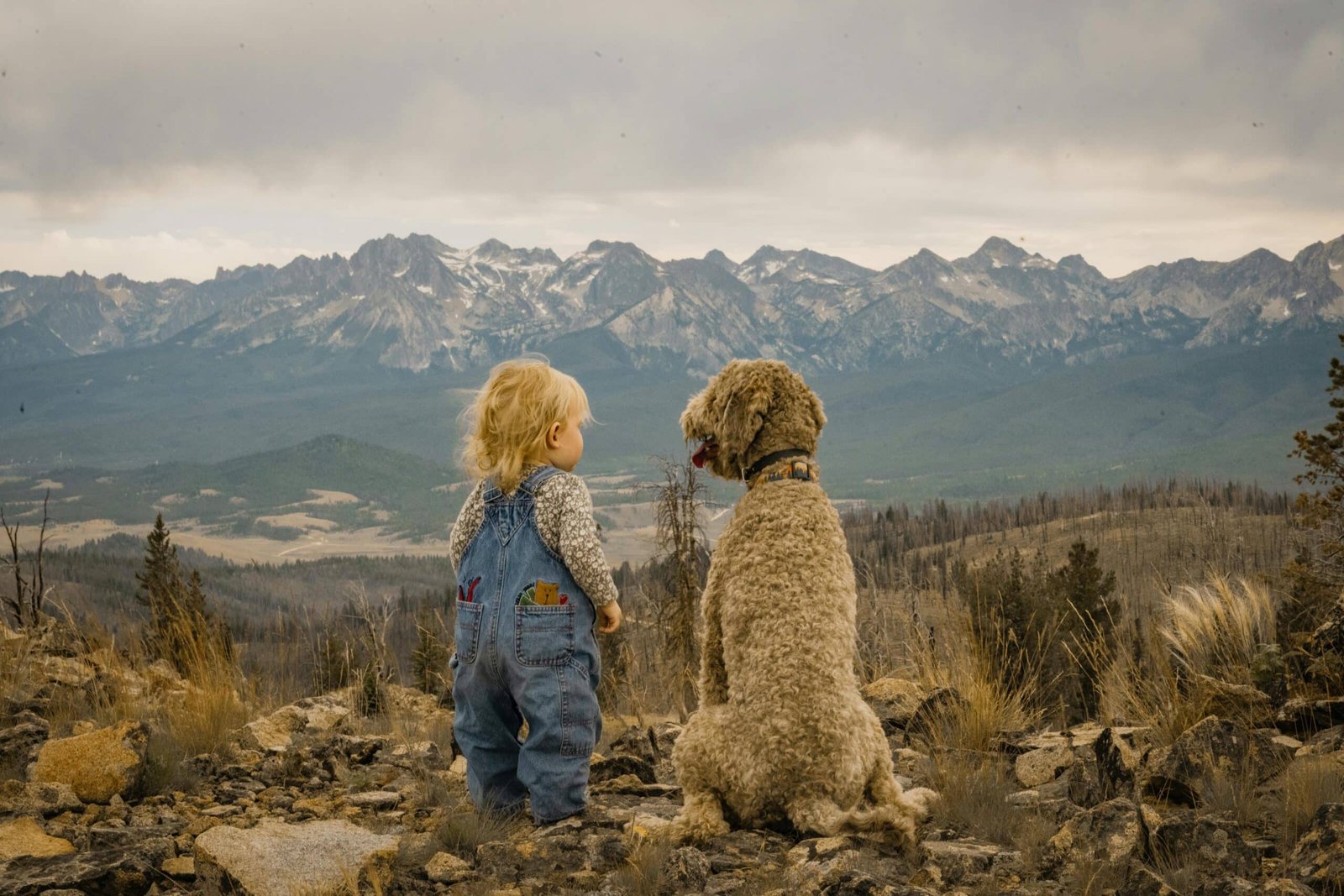 A child and a dog look at a mountain view.
